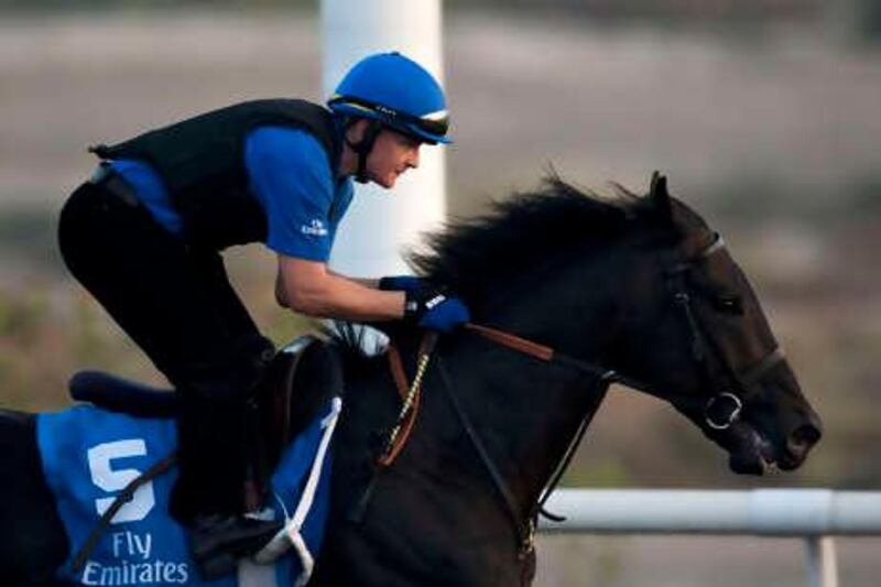 23/03/10 - Dubai, UAE -  5. Skysurfers (GB) 4 y.o. b c E Dubai - Fortune . He will race in the Godolphin Mile, Gr. 2.  He will race in Saturday's UAE Derby, Gr 2.  Godolphin press conference at Al Quoz track on Wednesday March 24, 2010.  (Andrew Henderson/The National)