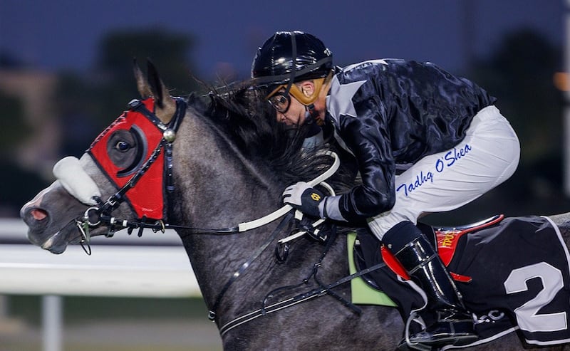 Tadhg O’Shea on AF Ghayyar rides the first of his two winners at Abu Dhabi on Monday, January 10, 2022. - DHRIC