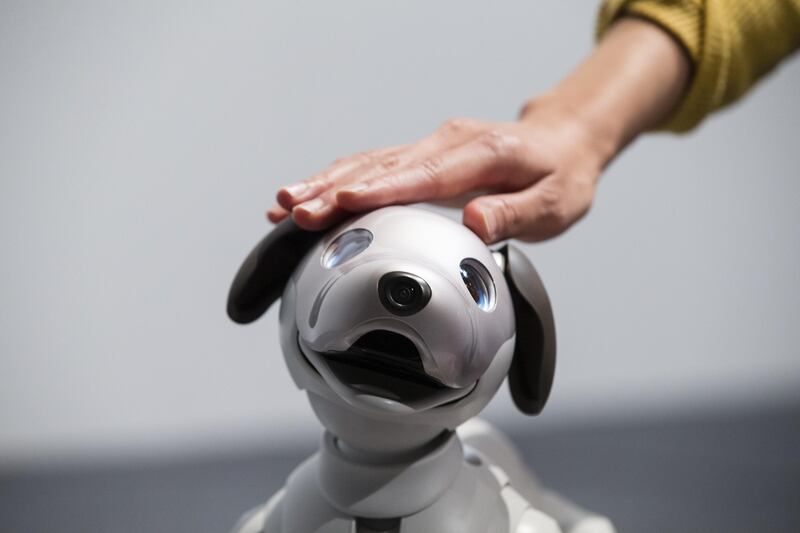 An attendee touches one of Sony Corp.'s new robotic dogs, which the company is marketing as 'aibo' instead of the prior 'AIBO', during a news conference in Tokyo, Japan. Keith Bedford / Bloomberg