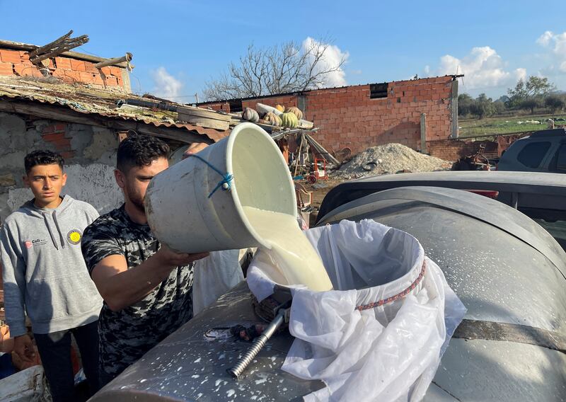 Fresh milk is poured into a container to be transported to a  collection company in Kalaat El Andalous.