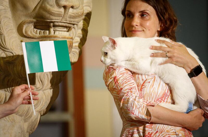 Achilles the cat, who lives in St Petersburg's Hermitage Museum, chooses Nigeria while predicting the result of the World Cup match between Argentina and Nigeria. Reuters
