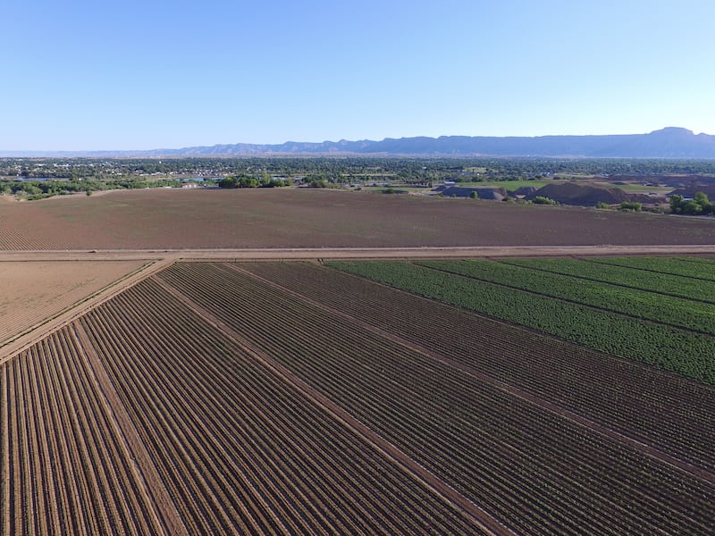 An aerial view of Frank Nieslanik’s farm in Grand Junction, Colorado.