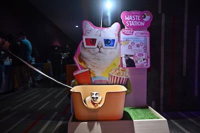 A cat sits in a litter station on the opening day of the pet-friendly i-Tail Pet Cinema at Major Cineplex, inside Mega Bangna shopping mall in Samut Prakan. AFP 