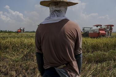 A rice harvester operates in a paddy field. A financial markets desk trading currency derivatives at Dubai-based Phoenix Global, which claimed to be one of the largest rice distribution companies in the world, racked up about $400m in losses. Bloomberg