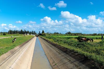 Agriculture is one of the key sectors that ADFD is supporting. Photo: ADFD