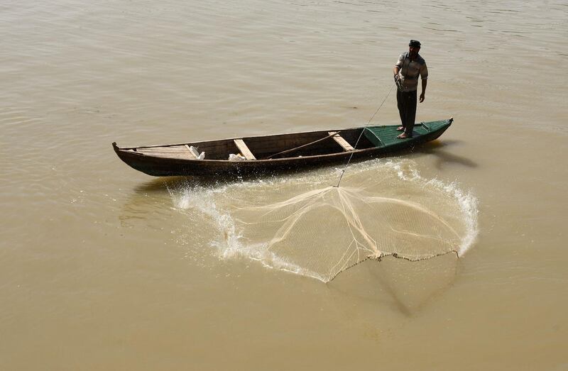 A fisheman throws his net in the Euphrates river, in Iraq's Shatrah district of the southern Dhi Qar province, on June 4, 2020.   The water hyacinth, nicknamed "Nile flower", an invasive plant native to South America that has ravaged ecosystems across the world, was introduced to Iraq just two decade ago as a decorative plant, but now the country's celebrated Tigris and Euphrates rivers are suffering from its unstoppable spread across their surfaces.
 / AFP / Asaad NIAZI
