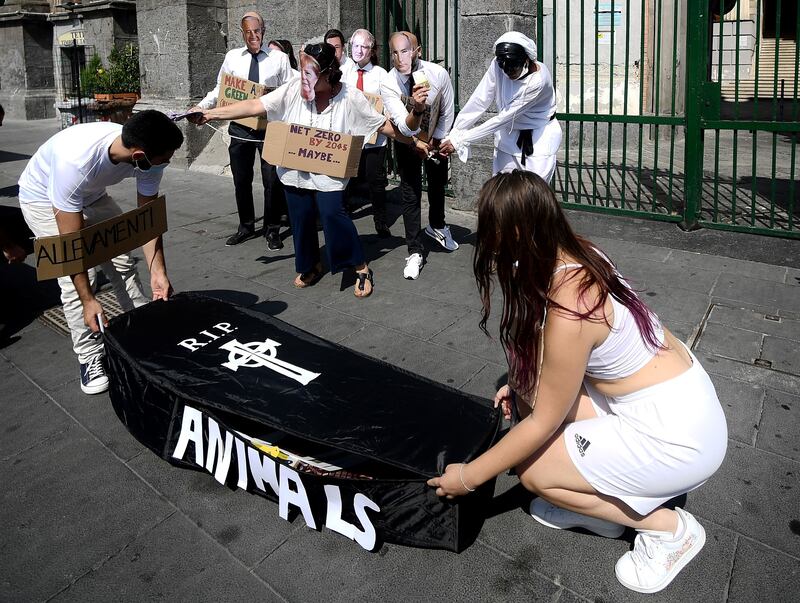 Protesters cover a mockup coffin during the protests.