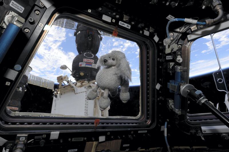 And he delighted fans with this poodle on his 2018 mission. In total he spent more than 530 days in space - and 14 hours floating outside the station on repair and expansion work. Anton Shkaplerov / Roscosmos