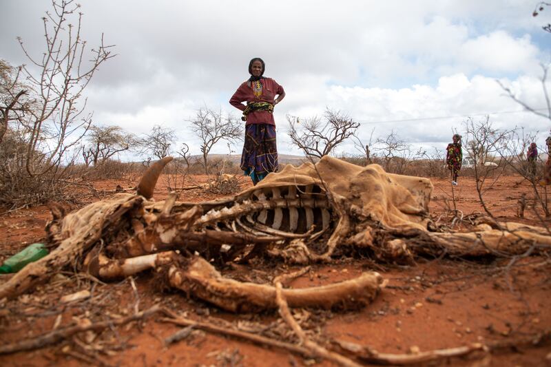 Tume Gerbole, 72, lost more than 20 of her cattle because of drought in Ethiopia.

