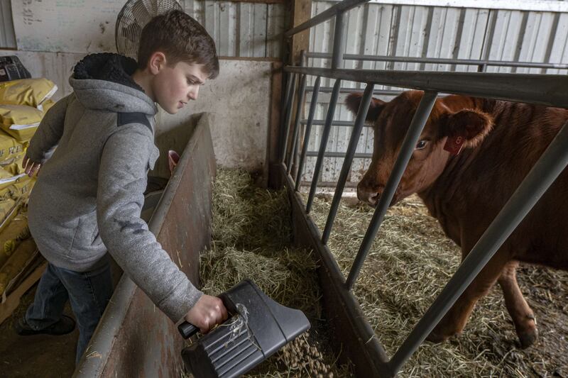 Pressure to cut agricultural emissions could lead to growing disruption for companies operating in the meat and livestock sector, given its significant environmental impact, Fitch says. Getty