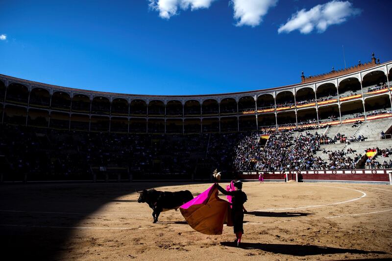 Spain bullfighter Fernando Robleno fights a bull at Las Ventas bullring in Madrid, Spain.  EPA