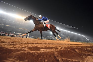 Thunder Snow has now won the past two Dubai World Cups. AFP