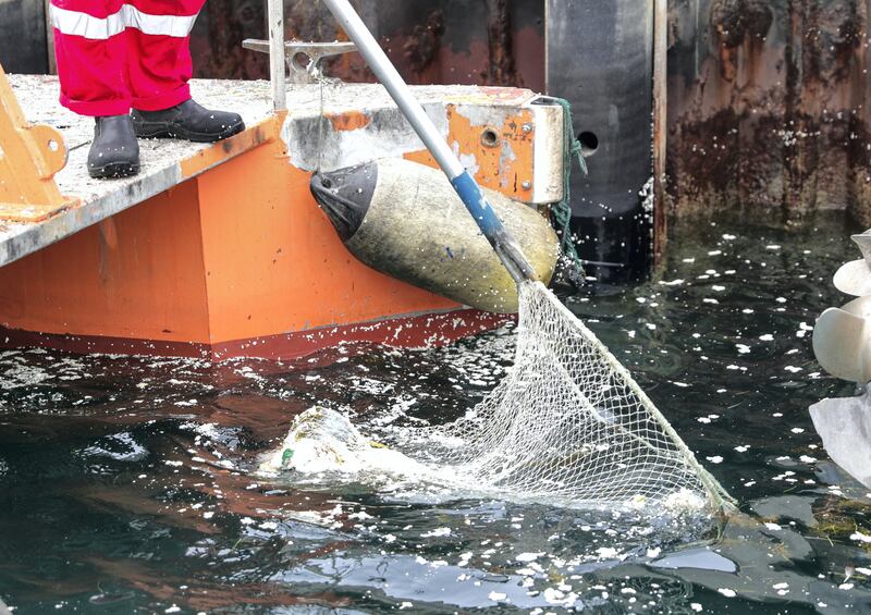 Abu Dhabi, United Arab Emirates, April 2, 2019.  Aubu Dhabi Ports trip on a ship that collects tons of floating sea debris.
Victor Besa/The National
Section:  NA
Reporter:  John Dennehy