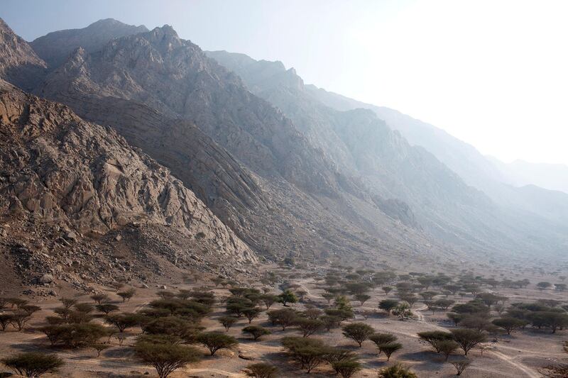 RAS AL KHAIMAH, UNITED ARAB EMIRATES, Jan. 4, 2015: 
A view of part of the Hajar Mountains from the historic Dhaya Fort, near Al Rams, small village north of Ras al Khaimah, UAE's most norther emirate, as seen on Sunday, Jan. 4, 2015.
(Silvia Razgova / The National)

Usage: Jan. 5, 2015, Section: AL / Oasis, reporter: standalone

 *** Local Caption ***  SR-150104-RAKmountains01.jpg