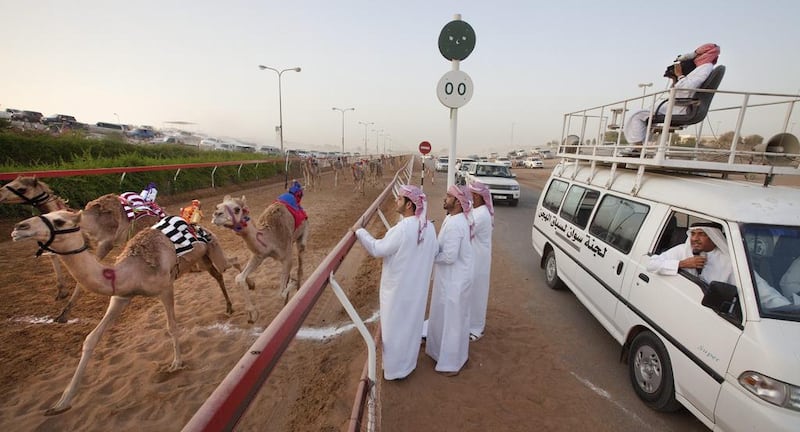 A close finish at the RAK camel race track is watched by the judges, with a commentator and a camera man, during an early morning camel race there. The sport is growing in popularity among Emiratis. Jaime Puebla / The National