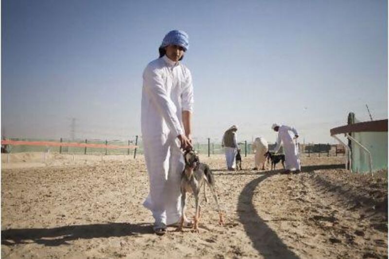 A dog trainer holds a Saluki after a race. One hundred and fifty purebreds are participanting in the festival.