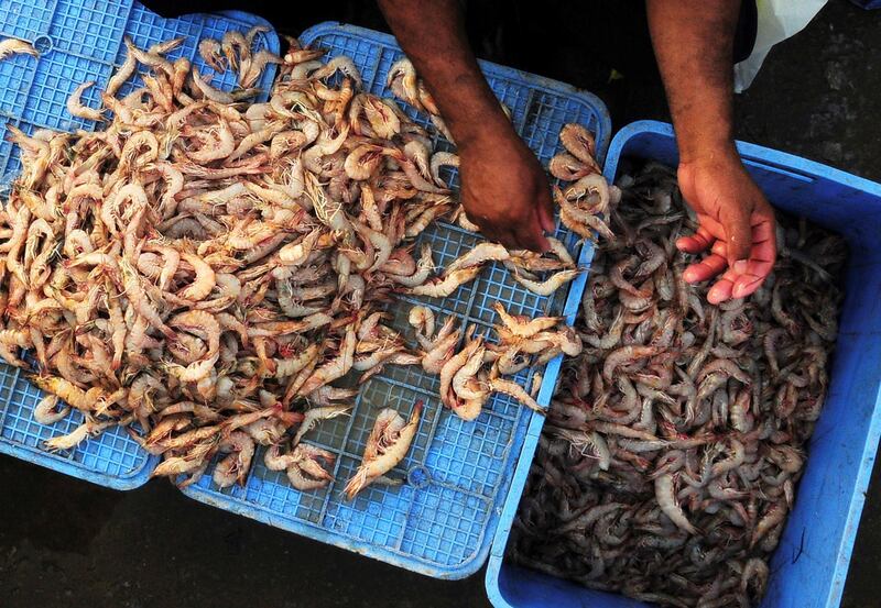 A Saudi vendor sells shrimp at a seafood market in Dammam August 4, 2009.   REUTERS/Stringer   (SAUDI ARABIA SOCIETY ANIMALS)