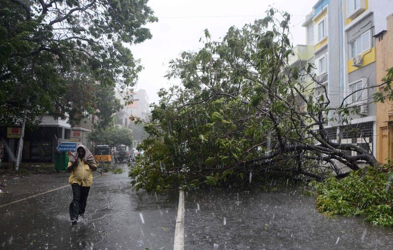 An man walks along a street covered with debris and fallen trees in Chennai, the state capital of Tamil Nadu, as Cyclone Vardah approaches India's eastern coast on December 12, 2016. AFP