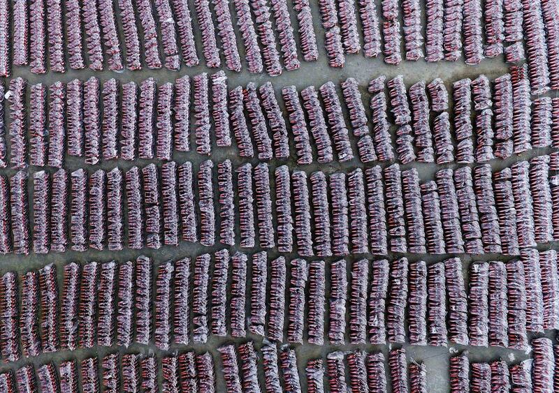 An aerial view of around 10,000 public bicycles seen under plastic rain cover before being put into use in Guangzhou, Guangdong province, China. David Johnson / Reuters
