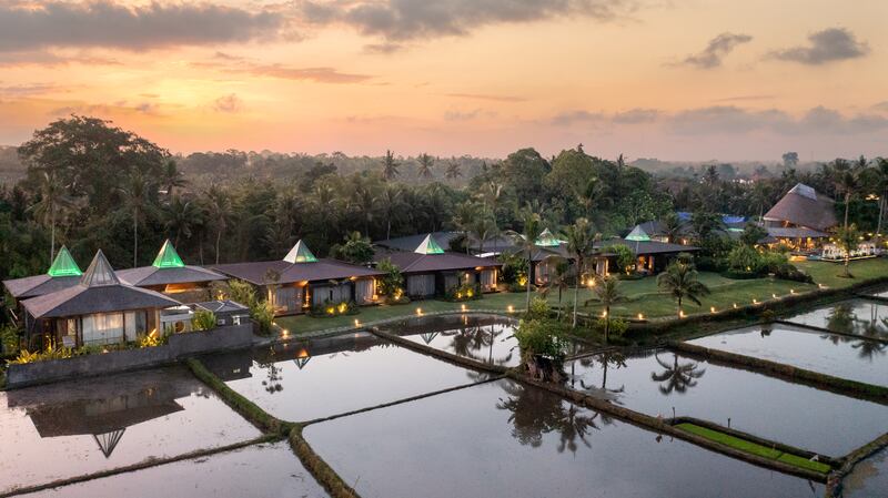 The currently all-vegan wellness retreat is located in the town of Ubud in Bali, Indonesia