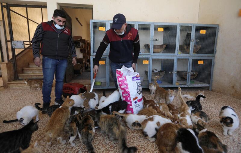 Feeding time tends to be loud and chaotic at Ernesto's Sanctuary. Reuters