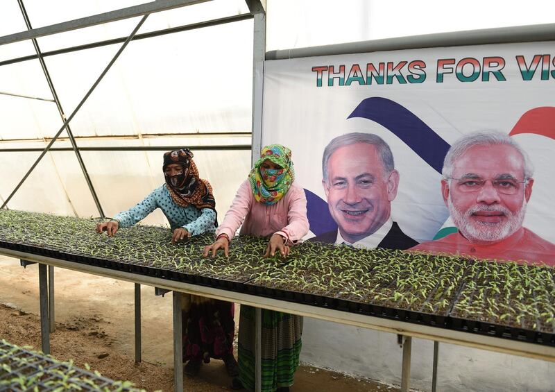 Indian workers tend to seedlings alongside a banner displaying images of Israeli Prime Minister Benjamin Netanyahu (L) and Indian Prime Minister Narendra Modi at the campus of the Centre of Excellence for Vegetables at Vadrad village, some 70 kms from Ahmedabad, on January 12, 2018.
Israeli Prime Minister Benjamin Netanyahu and Indian Prime Minister Narendra Modi are due to visit the centre during a visit to India by Netanyahu on January 17. / AFP PHOTO / SAM PANTHAKY