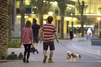 Dubai Marina has some areas where owners can walk their pets. Jaime Puebla / The National