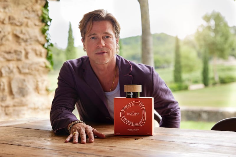 Brad Pitt's skincare line was developed out of his vineyard Chateau Miraval in the south of France. Photo: Le Domaine