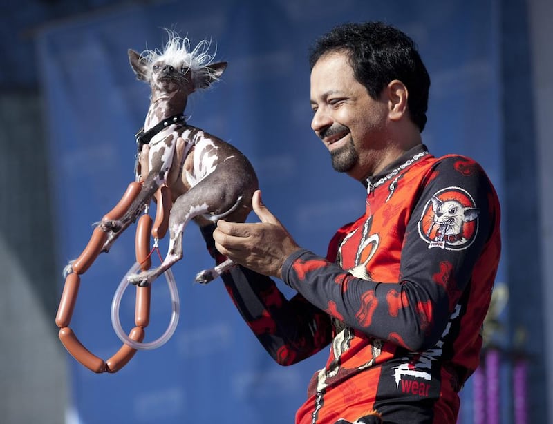 Dane Andrew from Sunnyvale, California holds up Rascal a Chinese Crested for the judges. Peter DaSilva / EPA