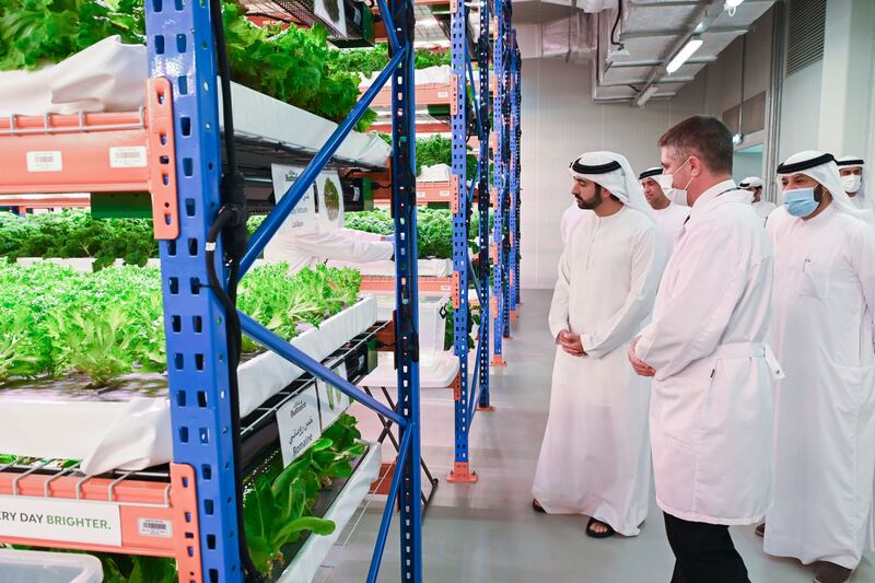 The plants are grown using hydroponic methods, which does not use soil and requires 70 to 90 per cent less water than conventional farming.