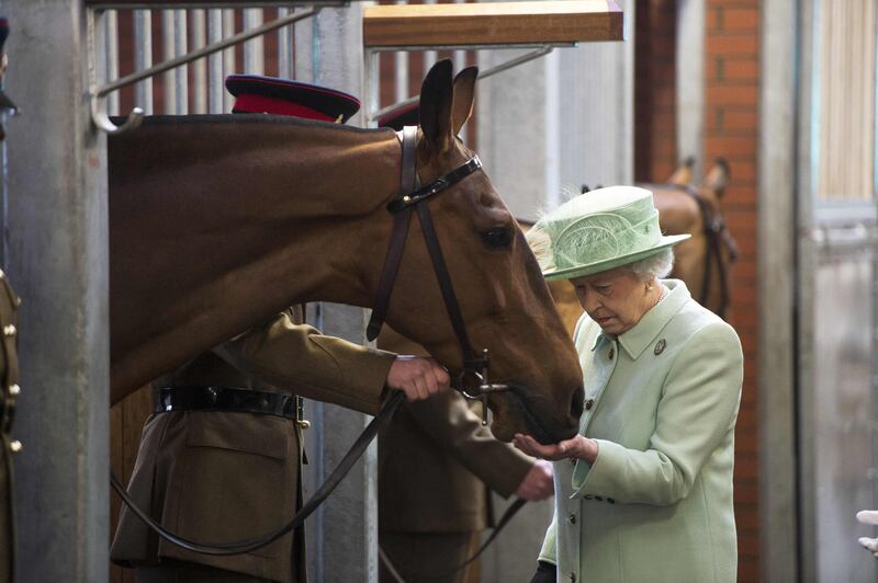 The queen in May 2013 with Harlequin on a visit to the King's Troop Royal Horse Artillery at Woolwich Barracks in south-east London. AFP