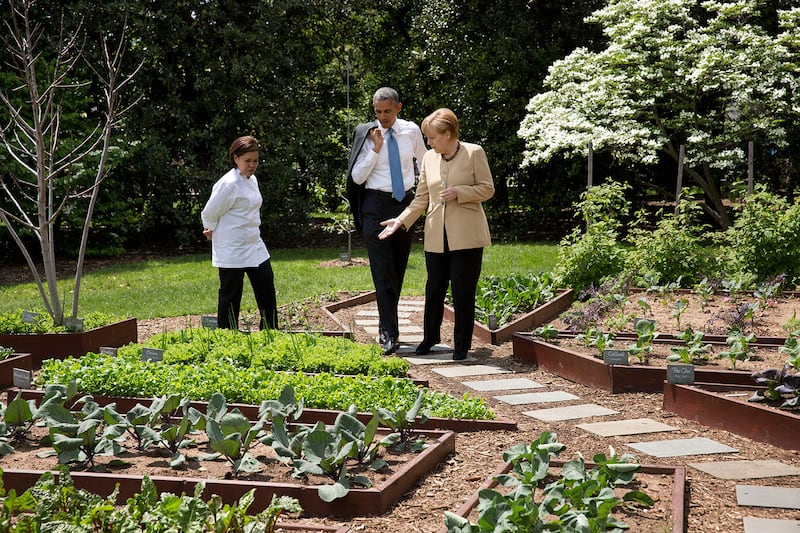 Barack Obama, who was president at the time, and former German chancellor Angela Merkel tour the White House kitchen garden in 2014. Photo: Official White House Photo / Pete Souza