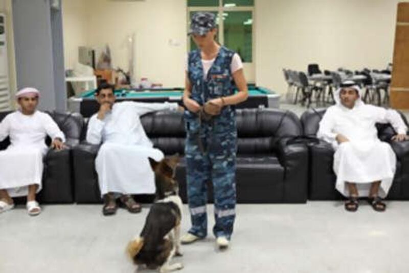 Galina Kogun, a dog trainer, demonstrates to Ras al Khaimah police dog unit personnel the heightened sense of smell of the Sulimov, a breed that is part jackal and part husky. Below, Riv expertly detects the concealed presence of a mere trace of TNT explosive.