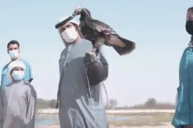 The eagle was tagged and released by Dubai Falcon Hospital. 