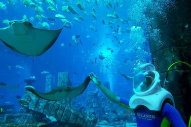 Aquatrek Xtreme at Atlantis, The Palm allows visitors to descend 10 metres under water. Courtesy Atlantis, The Palm