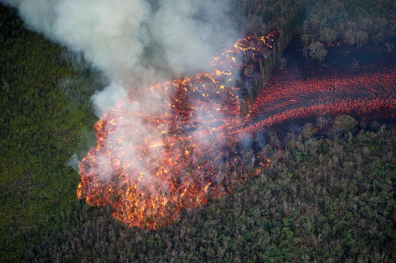 epa06751284 A massive flow of fast moving lava consumes everything in its path as it enters a forest, Pahoa, Hawaii, USA, 19 May 2018. For perspective, the Cook pines trees, in the middle right of the frame, are 80-100 feet tall. The ongoing eruption of Kilauea is the largest in decades, destroying more than 40 homes to date, and displacing thousands.  EPA/Bruce Omori/Paradise Helicopters