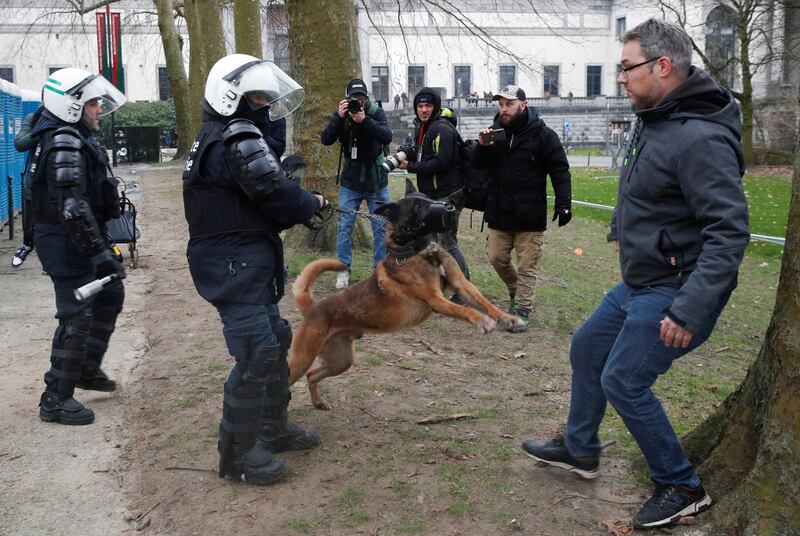 A police dog holds a protester at bay during violence at the demonstration. Reuters