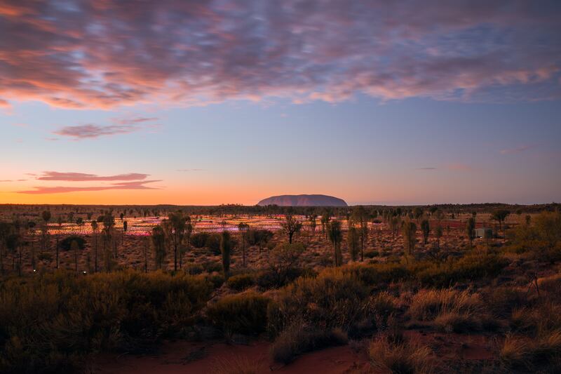 Learn about Australia's indigenous history at Field of Light Uluru.
