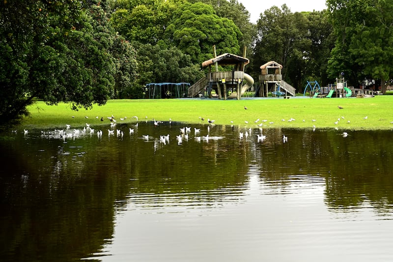 Flooding around a playground in Auckland, New Zealand, on January 29. Getty Images