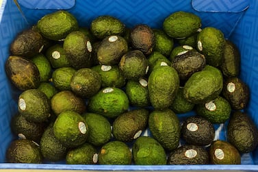President Donald Trump's threats to close the southern border are proving to be a windfall for Mexican avocado producers. The price of Hass avocados from Michoacan, the heartland of Mexican production, jumped 34 percent on Tuesday, the biggest one-day gain in a decade. Bloomberg