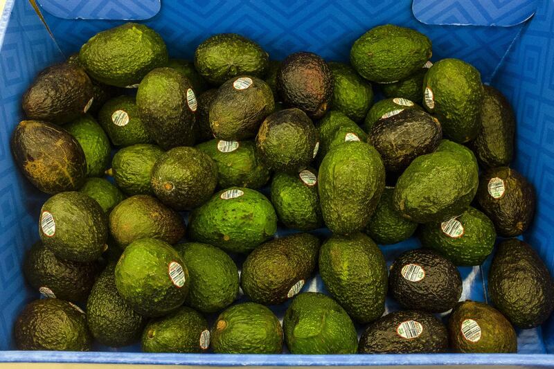 Avocados are displayed for sale at a supermarket in West Palm Beach, Florida, U.S., on Wednesday, April 3, 2019. President Donald Trump's threats to close the southern border are proving to be a windfall for Mexican avocado producers. The price of Hass avocados from Michoacan, the heartland of Mexican production, jumped 34 percent on Tuesday, the biggest one-day gain in a decade. Photographer: Saul Martinez/Bloomberg