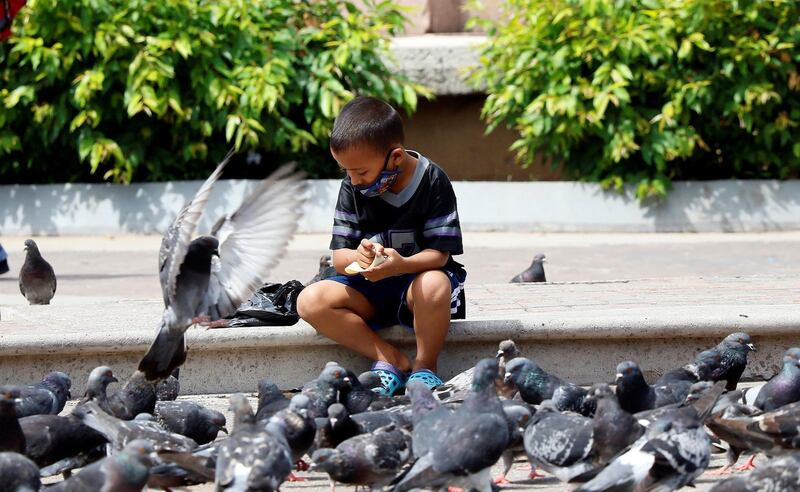A boy shares his breakfast with the birds of the central park after begging with his father, in Tegucigalpa, Honduras. EPA