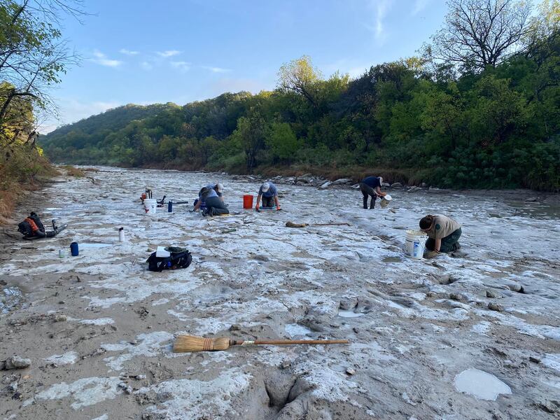 Between 120 to 100 million years ago, dinosaurs lived in the coastal shallows and offshore islands of Texas and left footprint evidence for geo-detectives to investigate. Photo:  Dinosaur Valley State Park