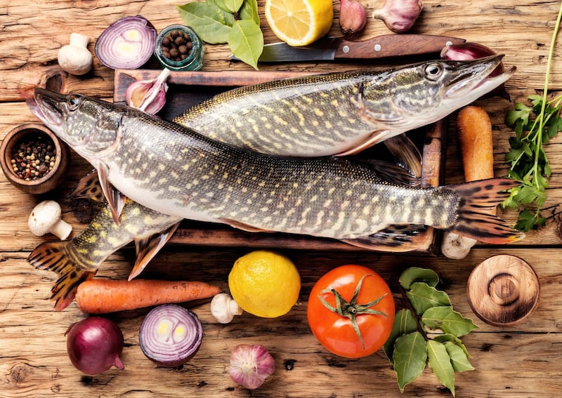 Two raw pike with spices on an old wooden background.Raw fish with spices for cooking.