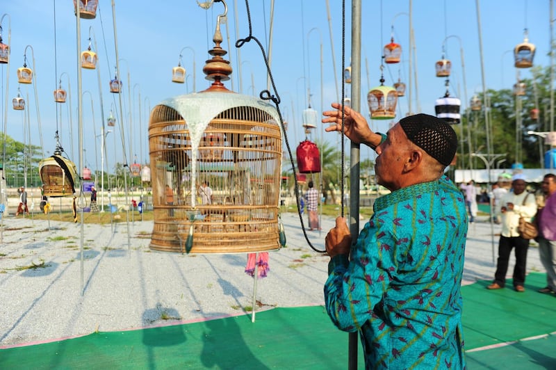 A participant checks on his bird. AFP