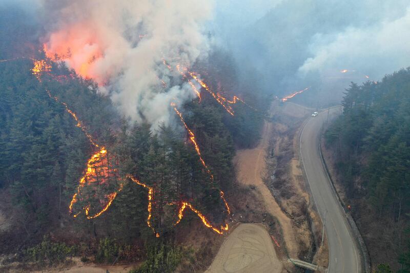 A wildfire burns mountain forests in the seaside town of Uljin, South Korea. AFP