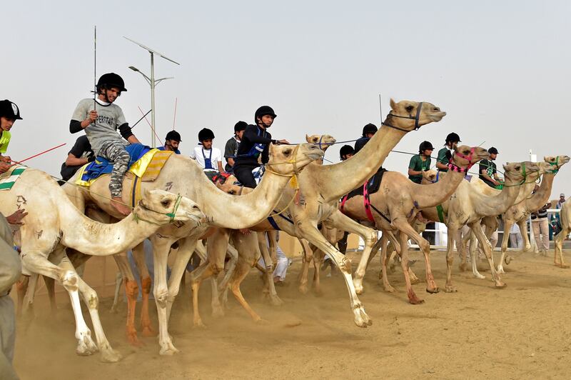The race seeks to promote the heritage of camel racing in the Arab world and play a role in supporting tourism in Saudi Arabia.