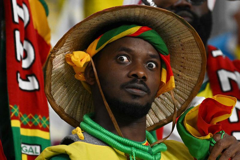 A Senegal fan in the stands for the Qatar 2022 World Cup Group A match between Ecuador and Senegal at the Khalifa International Stadium in Doha. AFP