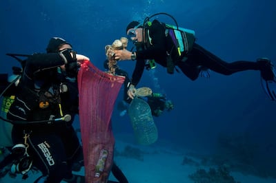 In this June 8, 2018 photo, divers collect plastic and other debris during a cleanup organized by Camel Dive Club, at a dive site off the coast of the Red Sea resort of Sharm el Sheik, in Southern Sinai, Egypt. An Egyptian official says his Red Sea province will impose a ban on disposable plastics, prohibiting everything from single use straws to plastic bags in an effort to fight plastic pollution. Ahmed Abdallah, governor of Hurghada province, said late on Tuesday, April, 2, 2019, that the ban will go into effect from June. (AP Photo/Thomas Hartwell,)