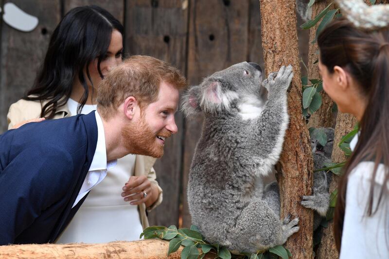 Prince Harry and Meghan are seen meeting Ruby, a mother Koala who gave birth to koala joey Meghan, named after Her Royal Highness, with a second joey named Harry, during a visit to Taronga Zoo in Sydney. Reuters